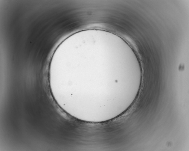 X0000103400816200810031223