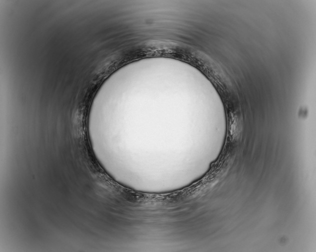 X0000103400819200810031222