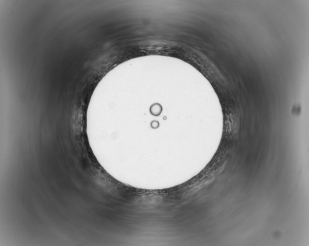 X0000103400820200810031222