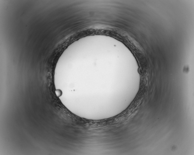 X0000103400821200810031222