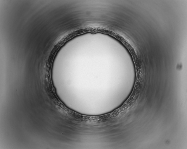 X0000103400823200810031222