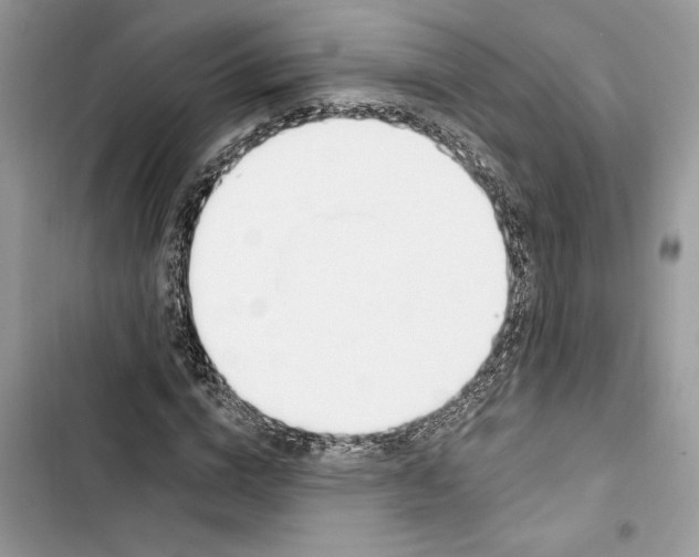 X0000103400824200810031222