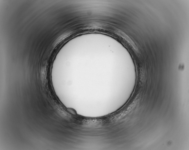 X0000103400826200810031222