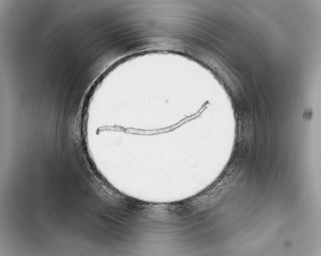 X0000103400828200810031222