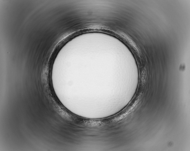 X0000103400831200810031222