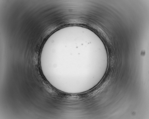 X0000103400833200810031223