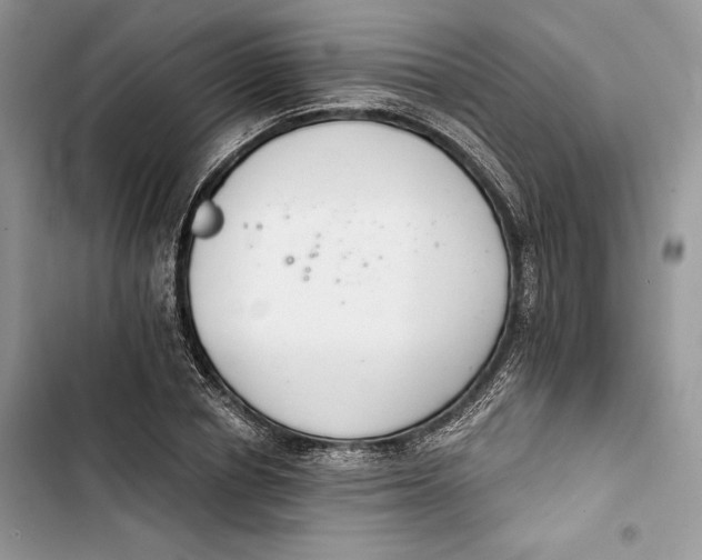 X0000103400834200810031223