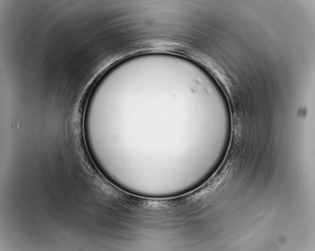 X0000103400835200810031223