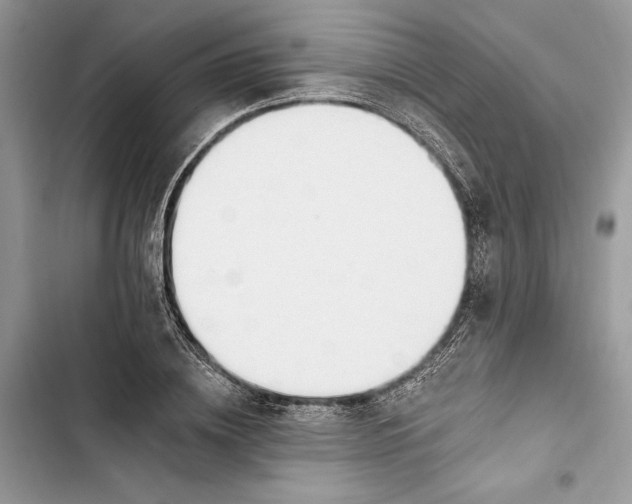 X0000103400836200810031223