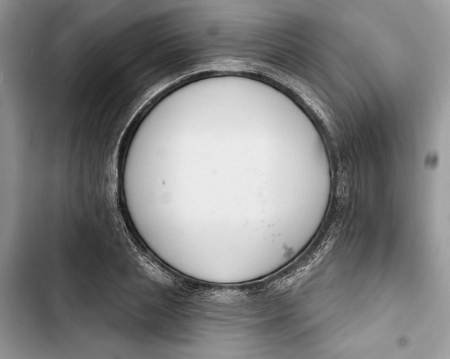 X0000103400837200810031223