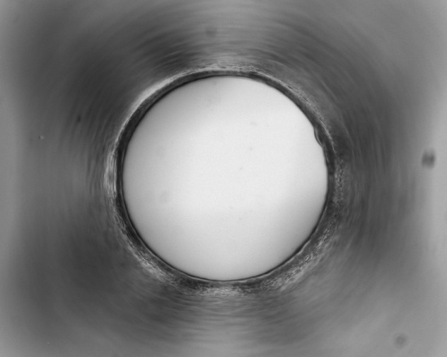 X0000103400838200810031223