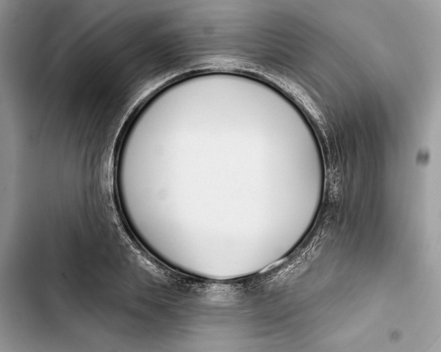 X0000103400839200810031223