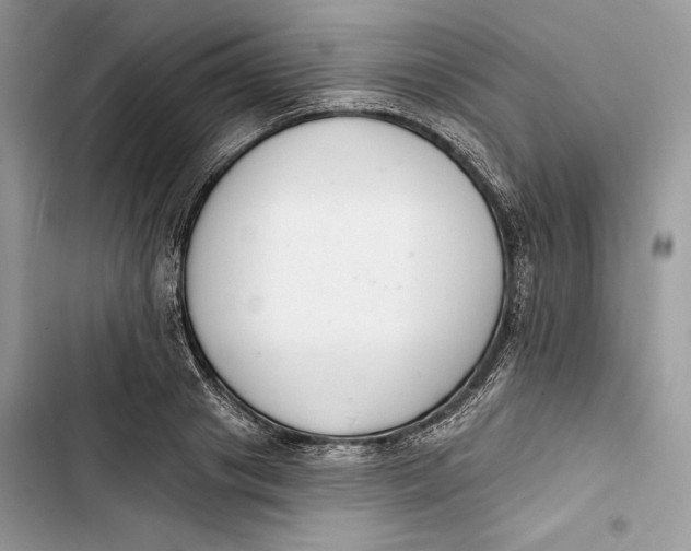 X0000103400841200810031223