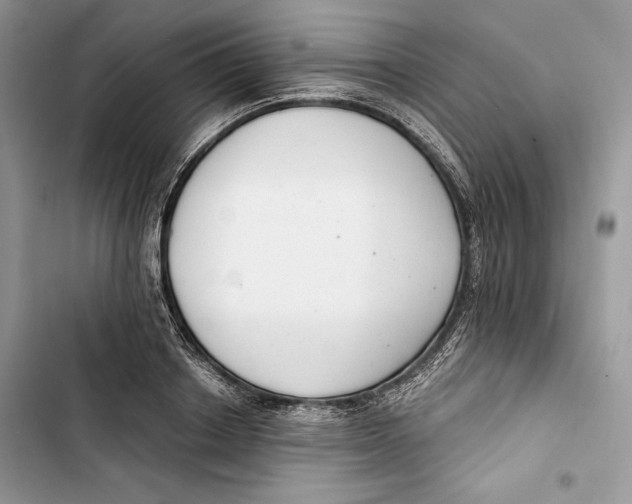 X0000103400842200810031223