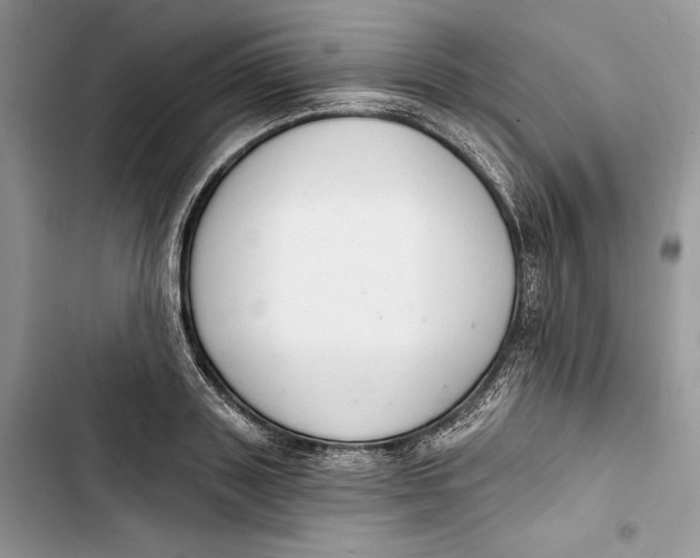 X0000103400843200810031223