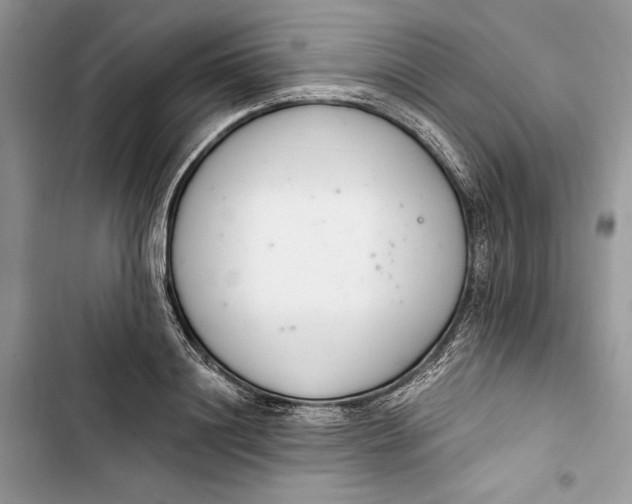 X0000103400844200810031223