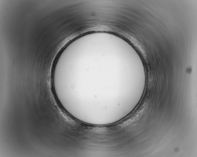 X0000103400845200810031223