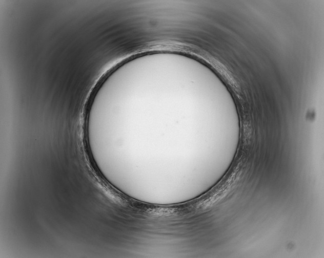 X0000103400846200810031223