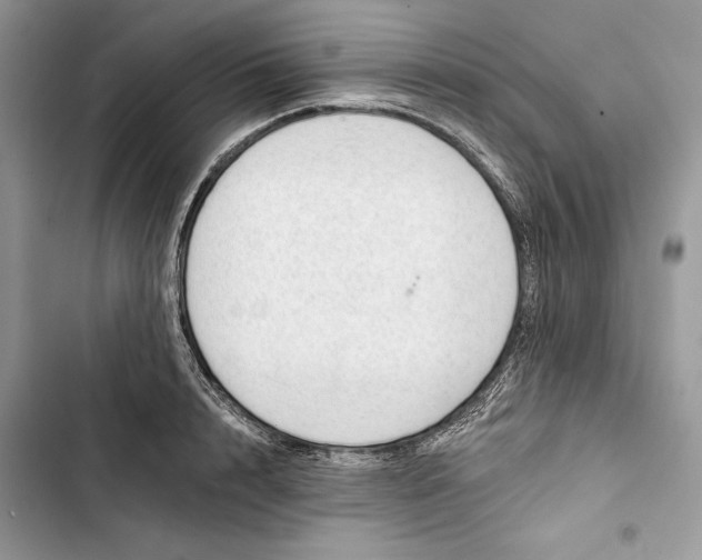 X0000103400848200810031223