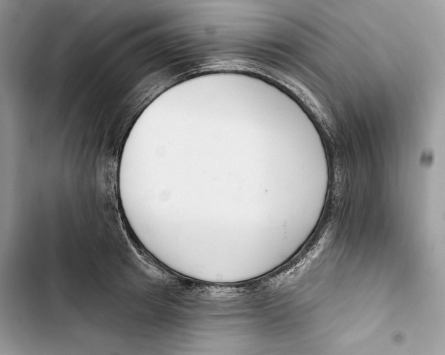 X0000103400849200810031223