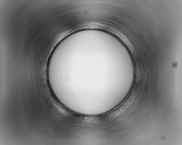 X0000103400850200810031223