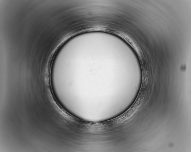 X0000103400851200810031223