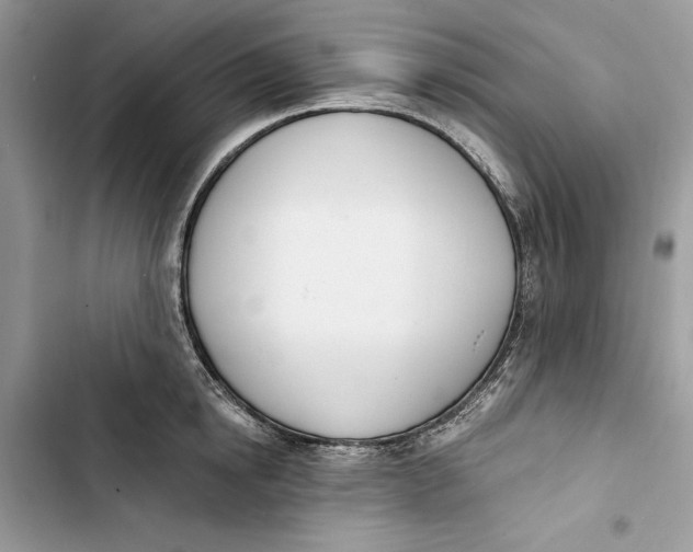 X0000103400854200810031223