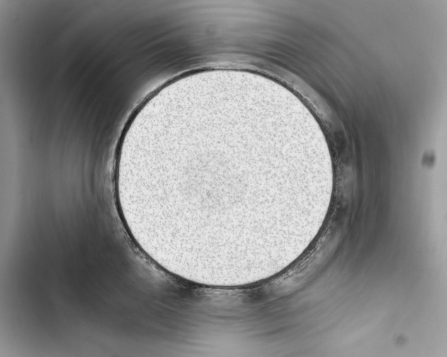 X0000103400856200810031223