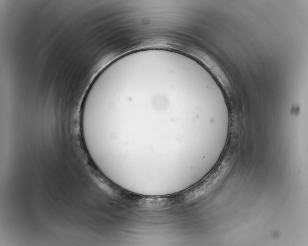 X0000103400858200810031223