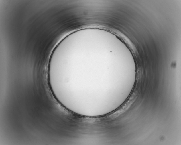 X0000103400860200810031223