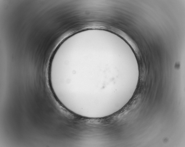 X0000103400861200810031223