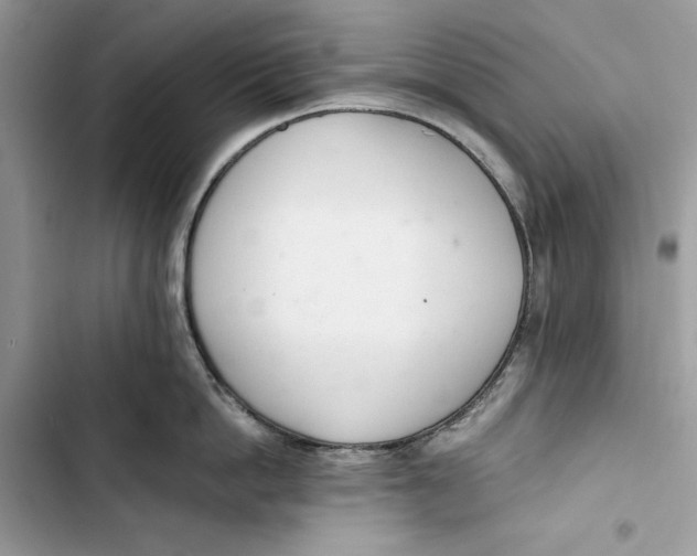 X0000103400862200810031223