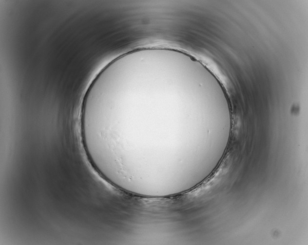 X0000103400863200810031223