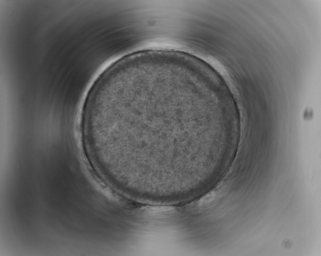 X0000103400864200810031223