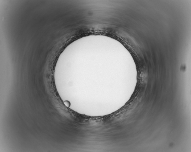 X0000103400865200810031222