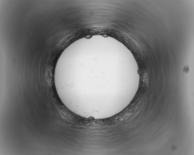 X0000103400868200810031222