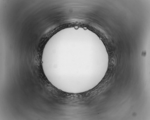 X0000103400869200810031222