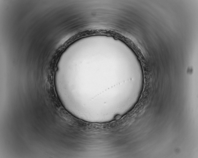 X0000103400871200810031222