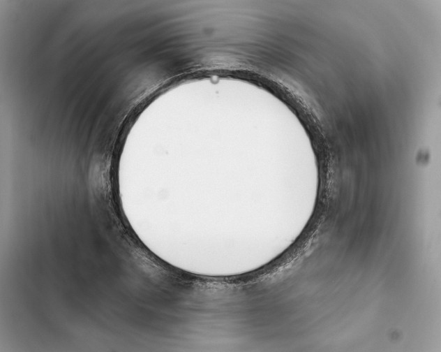 X0000103400873200810031222