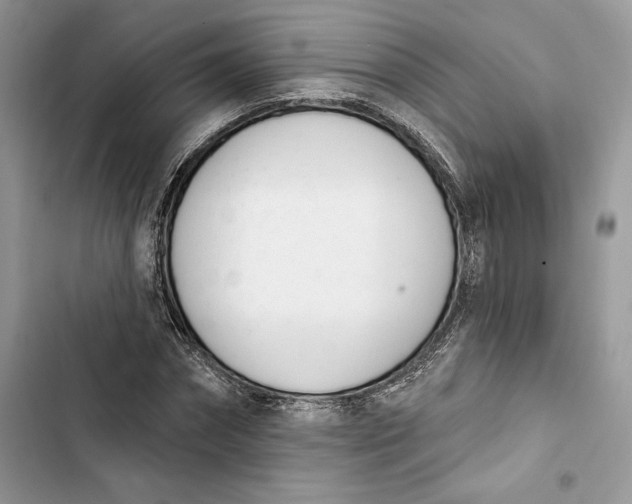 X0000103400874200810031222