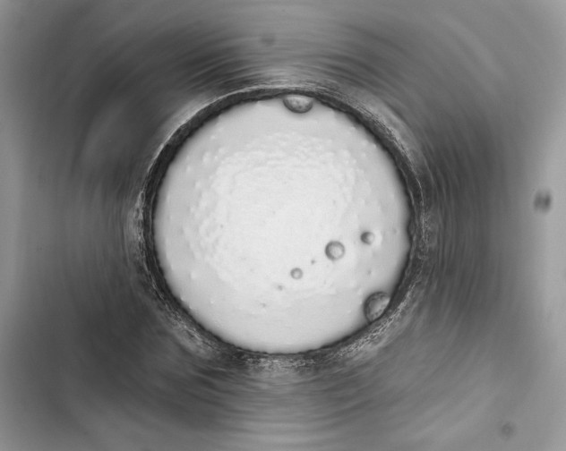 X0000103400875200810031222