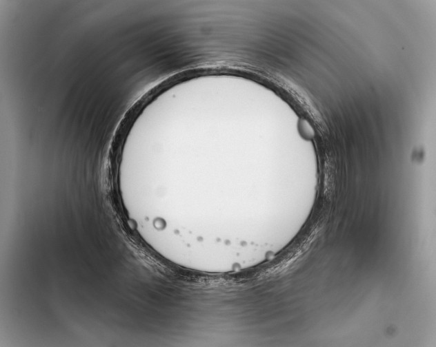 X0000103400876200810031222