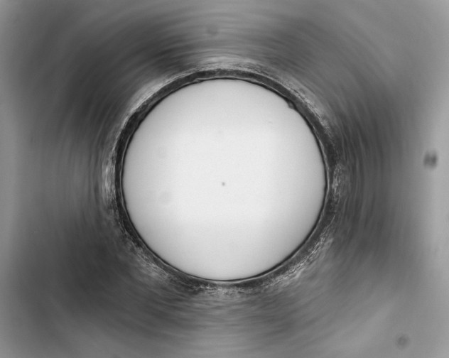 X0000103400877200810031222