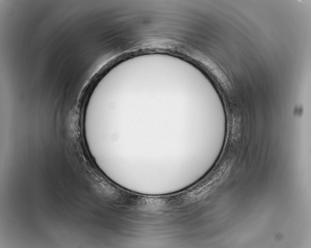 X0000103400878200810031222