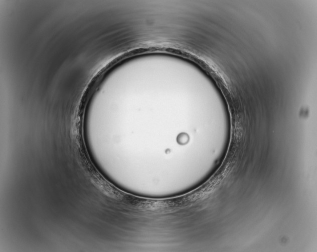 X0000103400879200810031222