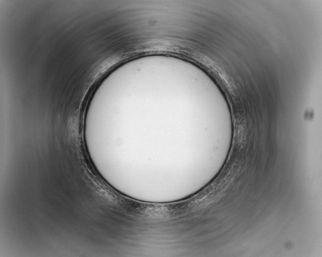 X0000103400882200810031222