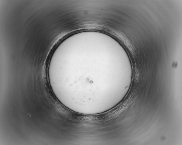 X0000103400883200810031222