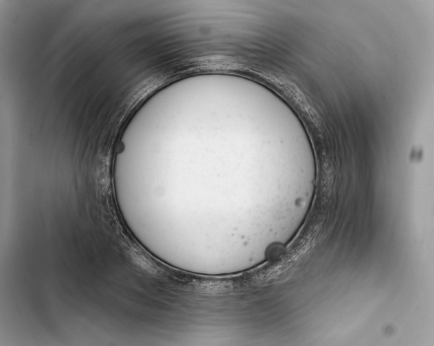 X0000103400889200810031222