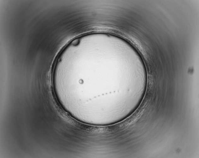 X0000103400891200810031222