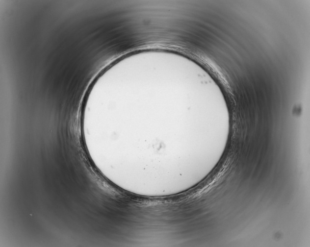 X0000103400892200810031222